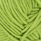 Grass (13)