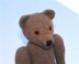 Finbar Classic Bear