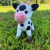 Cow Erna
