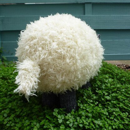 Shuggie Sheep