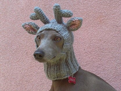 Greyhound hotsell reindeer hat