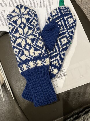 Nordic Mittens No. 6