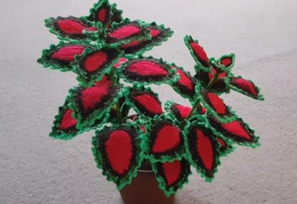 Crochet Coleus plant