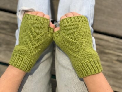Themeda Mitts