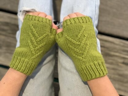 Themeda Mitts