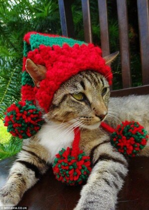 The Elf: Hat for Cats