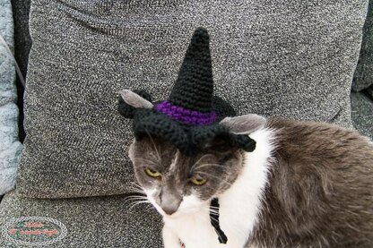 Cat's Witch Hat