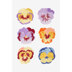 Pansy Flower Study  in DMC - PAT0597 -  Downloadable PDF