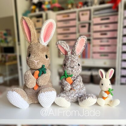 Alice the Flemish Giant Rabbit