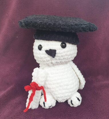 Crochet Graduation owl