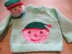 Baby Shelf Elf Jumper.