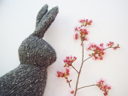 Spring Rabbit