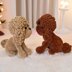 Poodle toy, teacup
