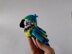 Birds Macaw