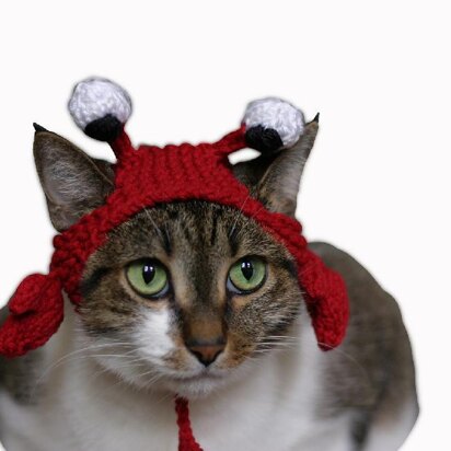 The Crabby Cat hat - knitting pattern
