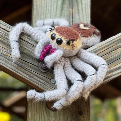 Scoot the Jumping Spider Amigurumi