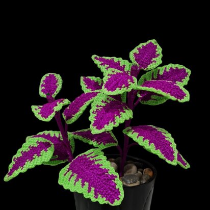 Crochet Coleus plant pattern
