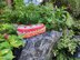 Tulip Stitch Oval Basket