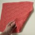 CLM Dishcloths