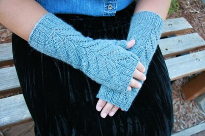 Gryphon Mitts