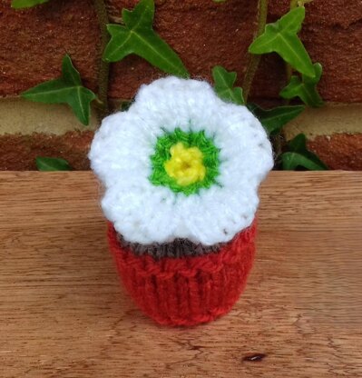 Potted Christmas Rose - Ferrero Rocher Cover