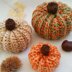 Rustic Fall Pumpkins - Crochet