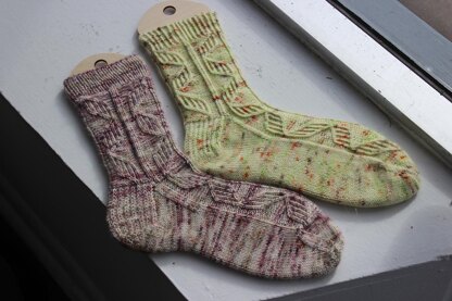 Double Helix Socks