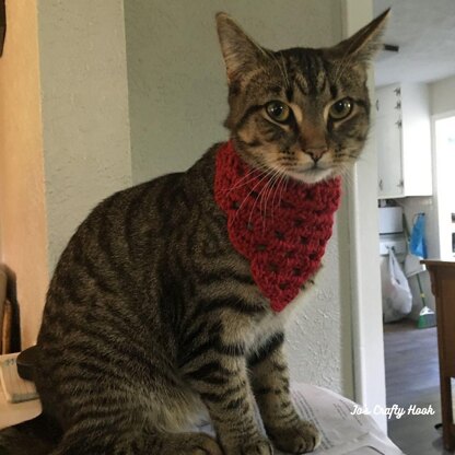 Pet Bandana