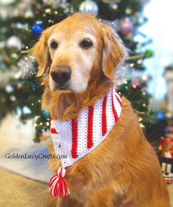 Christmas Dog Scarf, Candy Cane Scarf