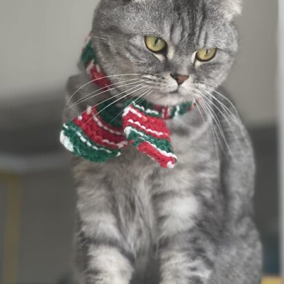 Charming Christmas Pet Scarf - knitting pattern