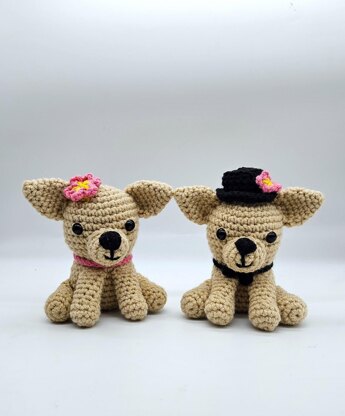 Chihuahua Couple