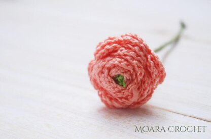 Ranunculus Flower