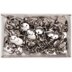 Rico Thumb Tacks, Silver - 2 cm x 8 cm x 5 cm