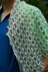 Frozen Lake Shawl
