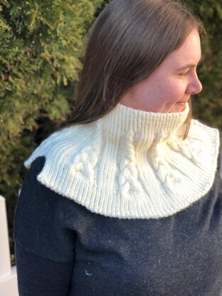 French Braid Cowl