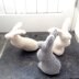 Hare a doorstop pet