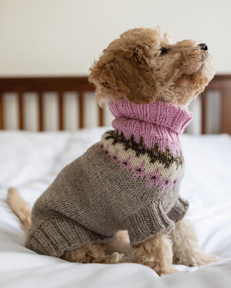 Dog Yoke Sweater Kit