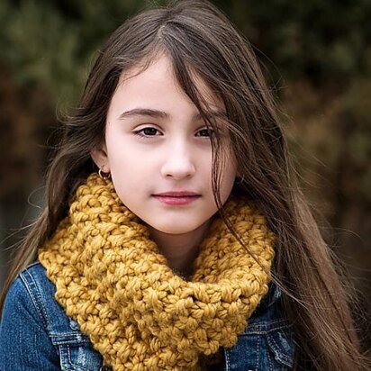 Bubblegirl's Chunky Cowl