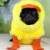 Doggie Diva Duckling Costume