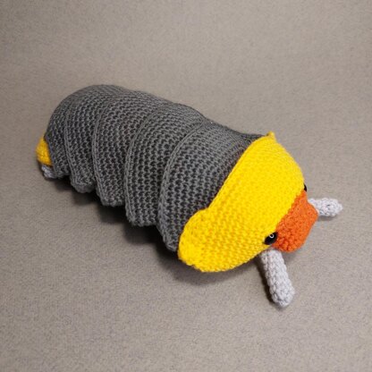 Rubber Ducky Isopod