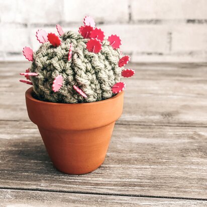 Barrel Cactus Pincushion