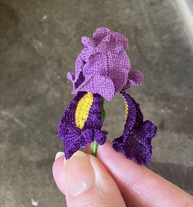 Iris flower