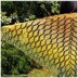 Crochet Triangle Shawl BioTronik #2