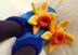 Daffodil Slippers