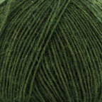 Loden (1)