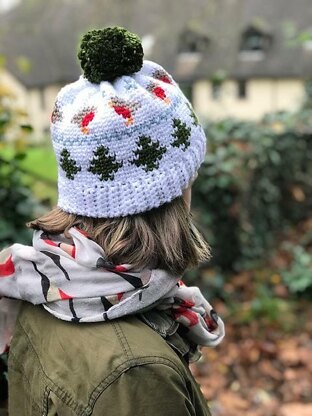 Winter Robin Beanie