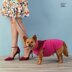 Simplicity S8861 Dog Coats - Paper Pattern, Size A (S-M-L)