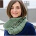 WEBS Emerging Designer #02 Infinity Cowl - Crochet Pattern for Women in Valley Yarns Colrain