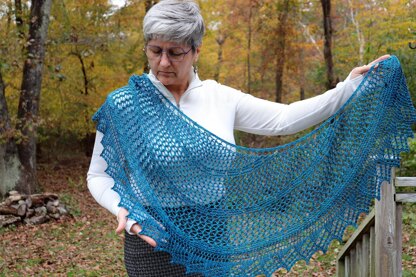 Meshing Around Shawl