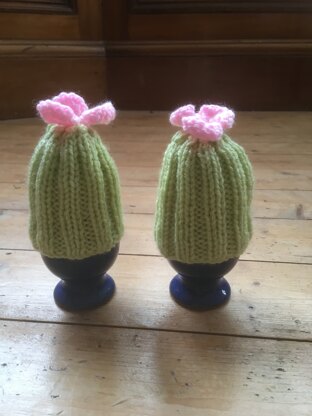 Cactus egg cosy